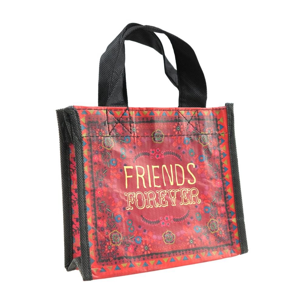 Gift bag made from recycled plastic bottles, Friends Forever