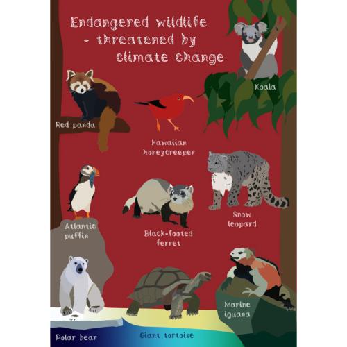 Greetings card Endangered Wildlife Climate Change 12x17cm
