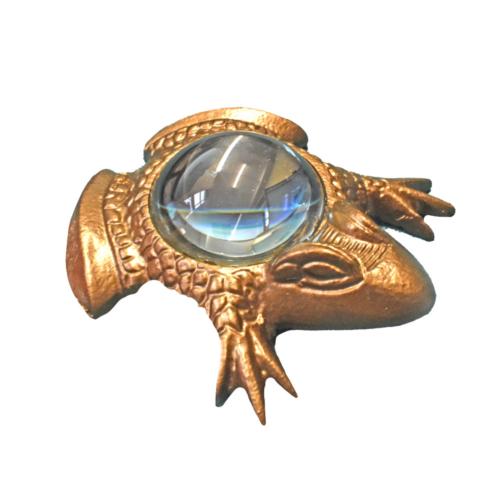 Magnifying Glass Frog