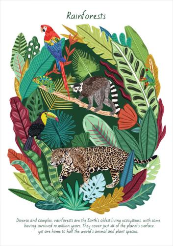 Greetings card "Rainforests" 12x17cm