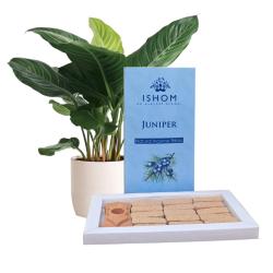 ISHOM Juniper Natural Incense Bricks