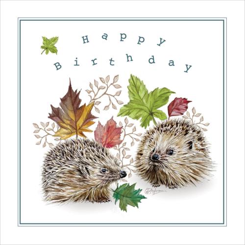 Greetings card, Happy Birthday, 2 Hedgehogs