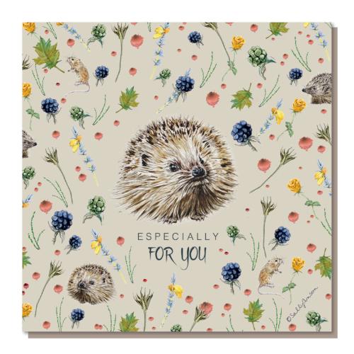 Greetings card, Especially for you, hedgehogs
