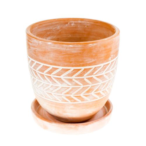 Terracotta plant pot with saucer, fish bone, medium