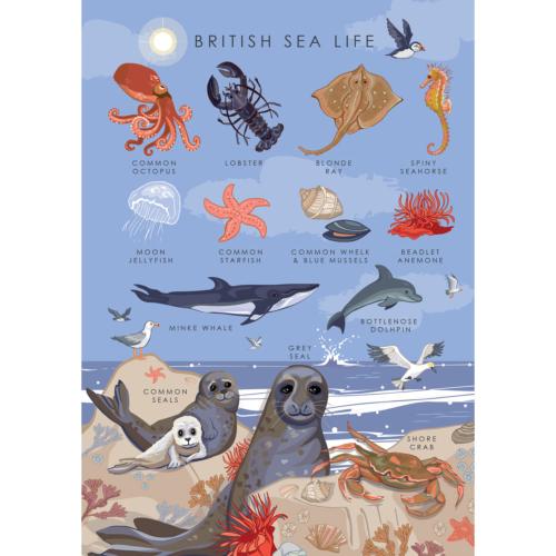 Greetings card "British sealife" 12x17cm