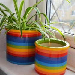 Rainbow ceramic planter, 15cm x 14cm ht