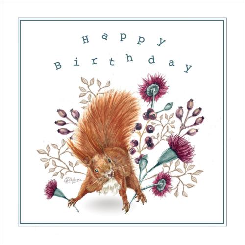 Greetings card, Happy Birthday, Red Squirrel