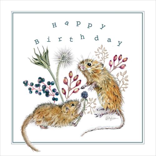 Greetings card, Happy Birthday, 2 Dormice