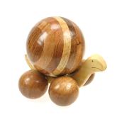Large mixed wood snail