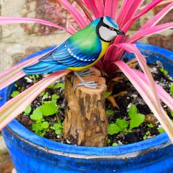 Blue tit on tree trunk, hand carved wooden indoor/garden ornament 12cm