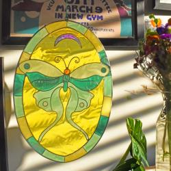 Suncatcher Lunar Moth 13.5 x 23.5cm