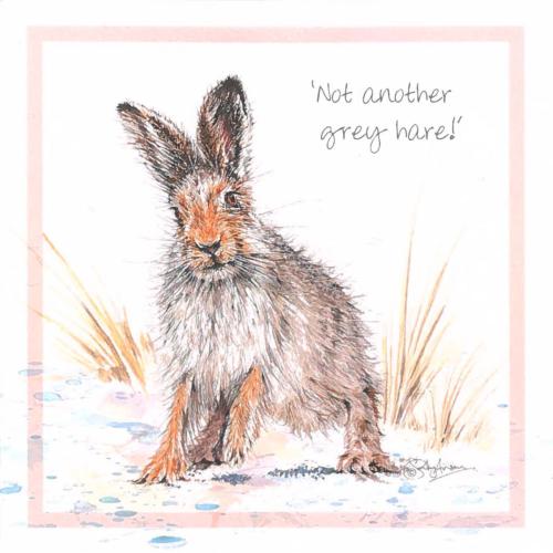 Greetings card, Don't worry - it's just a grey hare..., white mountain hare