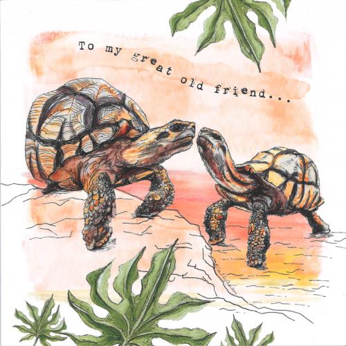 Greetings card, To my great old friend, Madagascar tortoise
