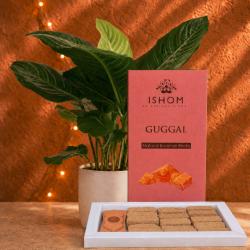 ISHOM Guggal Natural Incense Bricks