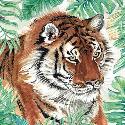 Greetings card, Bengal tiger