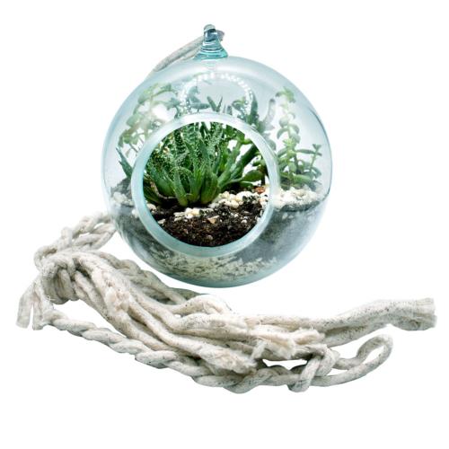 Terrarium recycled glass jute rope to hang 20cm diameter, plants not included