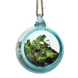 Terrarium recycled glass jute rope to hang 10cm diameter, plants not included