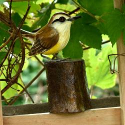 Wren on tree trunk, hand carved wooden indoor/garden ornament 12cm