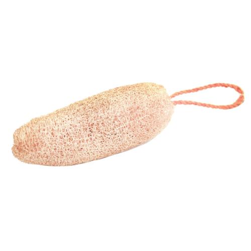 Loofah, hanging