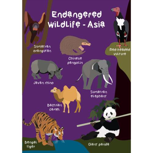 Greetings card Endangered Wildlife Asia 12x17cm