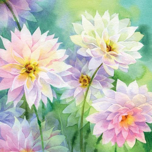 Greetings card "Chrysanthemums" 16x16cm