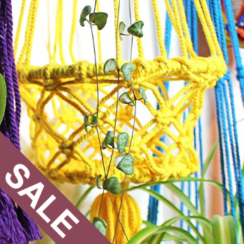 Reduced Planters & Hanging Baskets