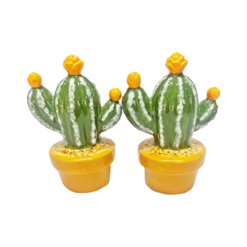 Salt and Pepper Pots Shakers Cactus