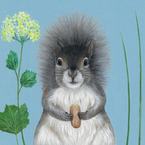 Greetings card "Squirrel Nutkin" 16x16cm