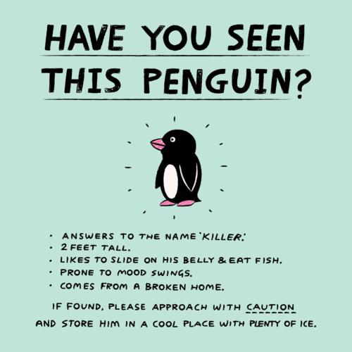 Greetings card "Have You Seen This Penguin" 16x16cm