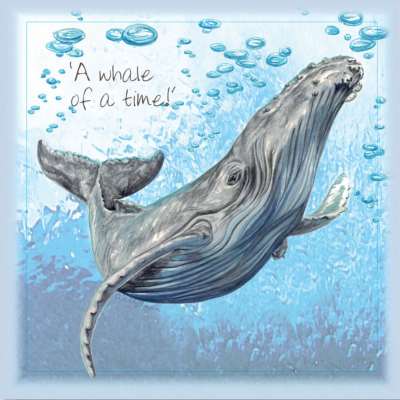 Greetings card, a whale of a time