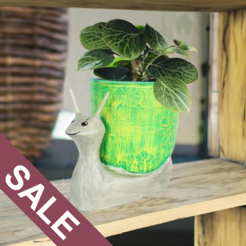 Reduced Planters & Hanging Baskets