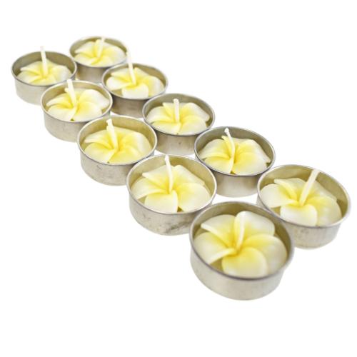 Scented t-lights x10 white frangipani, 21 x 9cm