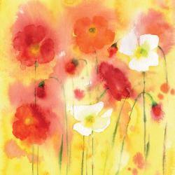 Greetings card "Red, white and orange poppies" 16x16cm