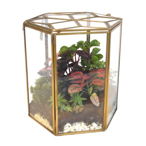 Terrarium recycled metal & glass hexagon shape 18cm ht, plants not included