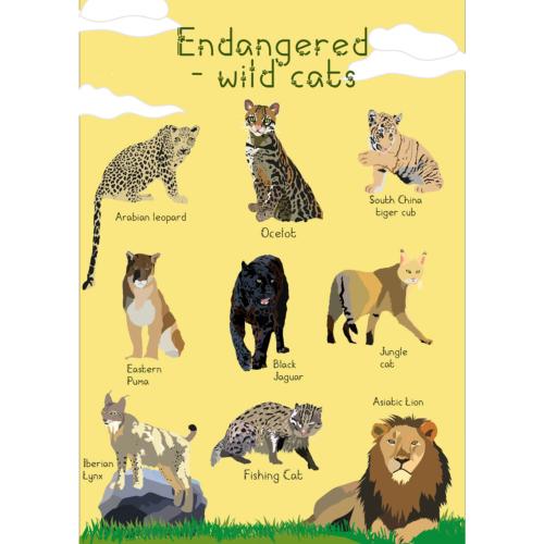 Greetings card Endangered Wildlife Wild Cats 12x17cm
