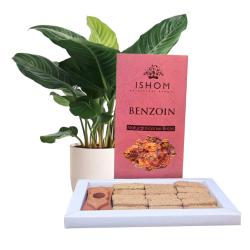 ISHOM Benzoin Natural Incense Bricks