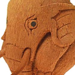 Coconut planter elephant