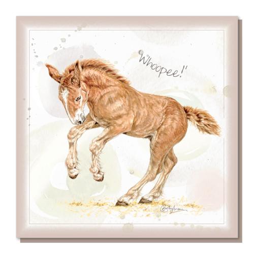 Greetings card, "Whoopee", Suffolk Punch Foal