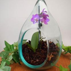 Terrarium Hanging Recycled Glass 18 x 30cm