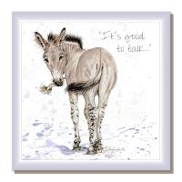 Greetings card, "It's good to talk", African Wild Donkey