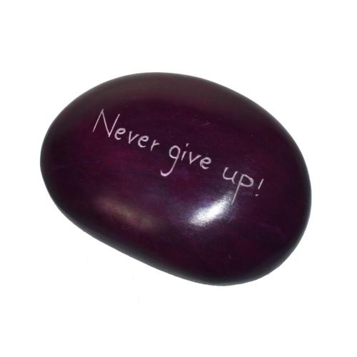 Paperweight, Palewa stone - Never give up 8.5 x 6cms