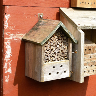 Bird/Bug Boxes & Feeders