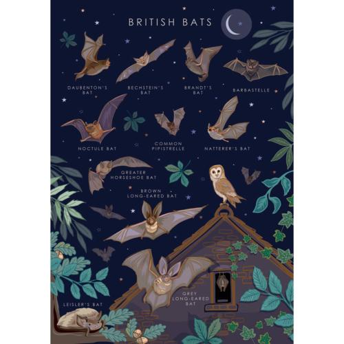 Greetings card "British bats" 12x17cm