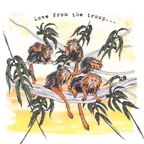 Greetings card, Love From The Troop, tamarins
