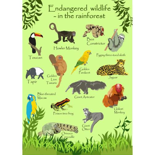 Greetings card Endangered Wildlife Rainforest 12x17cm